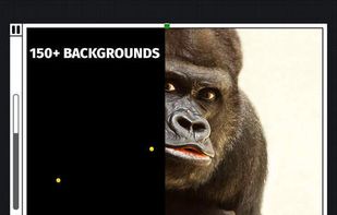 Cool Xonix screenshot 3