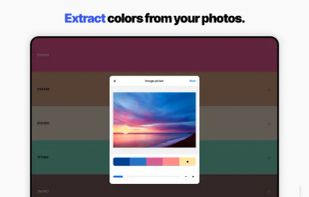 Coolors screenshot 2