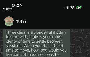 Chat with Töllin. Let him know your exercise preferences, time constraints, past injuries, anything.