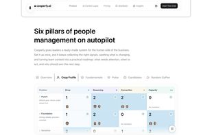 Coop Profile showing a team member's working style, communication preferences and practical management guidance.