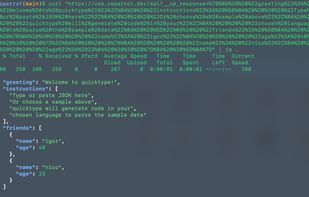 Coparrot screenshot 1