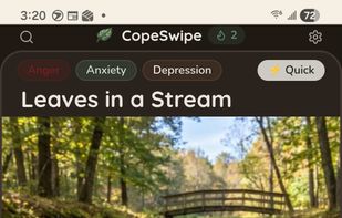 Leaves on a stream coping card