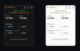 Applications Main Window. 
Light and Dark Mode