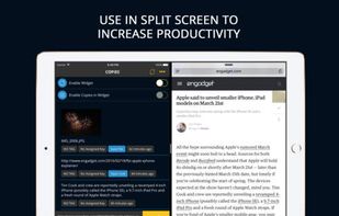 Copy Space screenshot 1