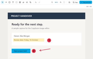 Copyloom screenshot 1