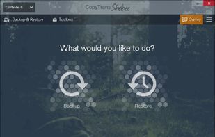 CopyTrans Shelbee screenshot 1