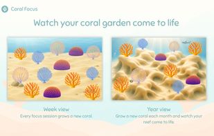 Coral Focus screenshot 1