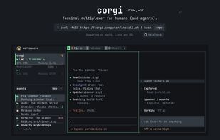 Corgi Terminal Multiplexer screenshot 1