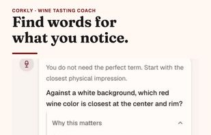 Find words for what you notice with clear appearance and tasting prompts.