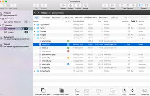 Working Copy Browser