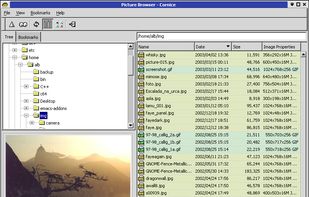 Cornice screenshot 1