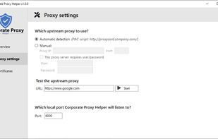 Corporate Proxy Helper screenshot 2