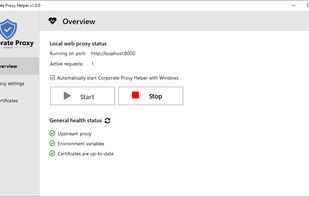Corporate Proxy Helper screenshot 1