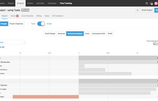 Detailed financial reports: profit margin, estimated vs. actual profit / costs, planned vs. worked time revenue, lost revenue. All in real-time.