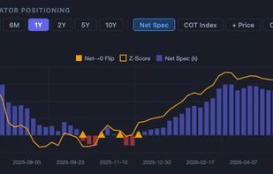 COTInsight screenshot 2