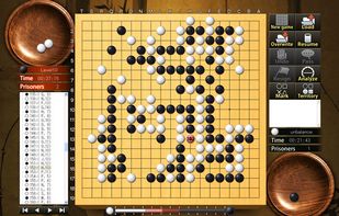 Crazy Stone 2013 screenshot 1