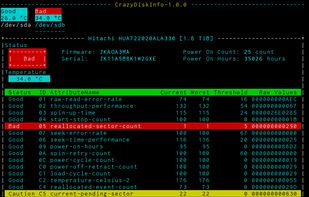 CrazyDiskInfo screenshot 1