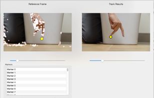 2D Motion Capture and Transfer