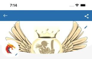 CricClubs screenshot 3