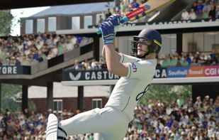 Cricket screenshot 1