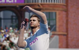 Cricket screenshot 3