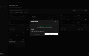 Crikket screenshot 2