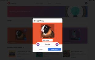 CritterCOin screenshot 1