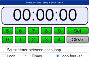 Online Stopwatch screenshot 1