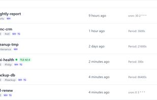 All checks on one screen: up, late, down and paused side by side, with tags, alert channels, the expected schedule (cron expression or period) and a strip of recent run history. HTTP checks show the days left on the TLS certificate.
