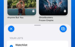 Cronica screenshot 3