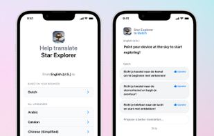 CrowdTranslate screenshot 2