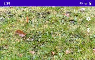 Cryptocam screenshot 1