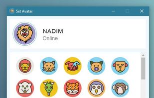 Cryptocat screenshot 2