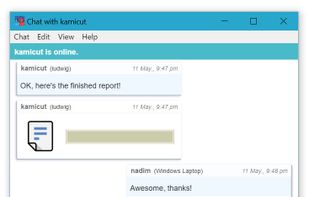 Cryptocat screenshot 1