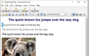 Create any kind of rich document to have it converted to cyphertext