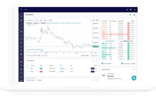 Bear market? Stay on top with these tools