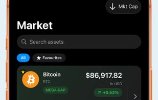 Cryptolandia screenshot 3