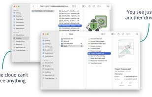 Cryptomator screenshot 1
