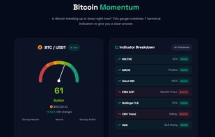Bitcoin Momentum Gauge