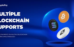 CryptoPay - Crypto Payment Gateway screenshot 1