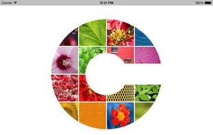 CryptoPhoto screenshot 3