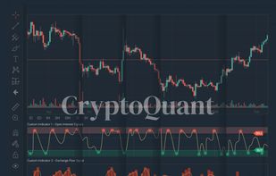 CryptoQuant screenshot 1