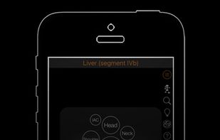 CT Anatomy screenshot 3