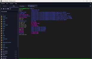 Ctrl-V Terminal screenshot 1