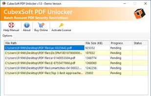 view PDF unlock process