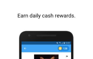 Curious Cat screenshot 1