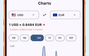 Analyze currency performance with interactive historical charts. Track exchange rate trends across different time ranges to make informed financial decisions.