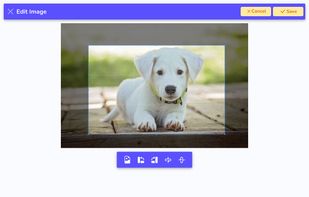 Custom Calendar Maker screenshot 2