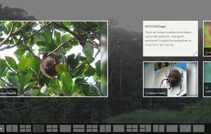 Lots of layout options in each template