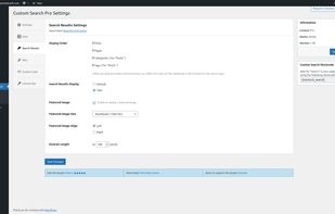 Custom Search WordPress Plugin screenshot 2